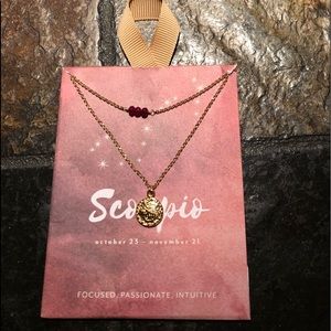 Scorpio Pedant Necklace